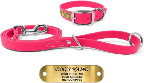Vista 21 de Regal Dog Products Collares de perro pequeños negros impermeables con placa de nombre personalizada grabada Collar de perro de Biothane