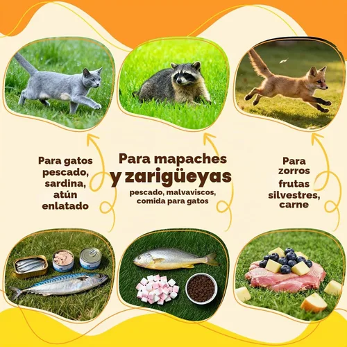 Vista 5 de Jaula de trampa para animales vivos plegable de 37" Jaula de trampa de animales para mapaches, gatos callejeros, gatos pequeños y zorros pequeños