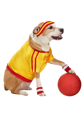 Vista 4 de Disfraz para Mascotas Dodgeball Average Joe's Multicolor