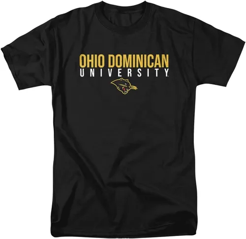 Vista 161 de Collegiate Stacked Adult T Shirt Collection 3