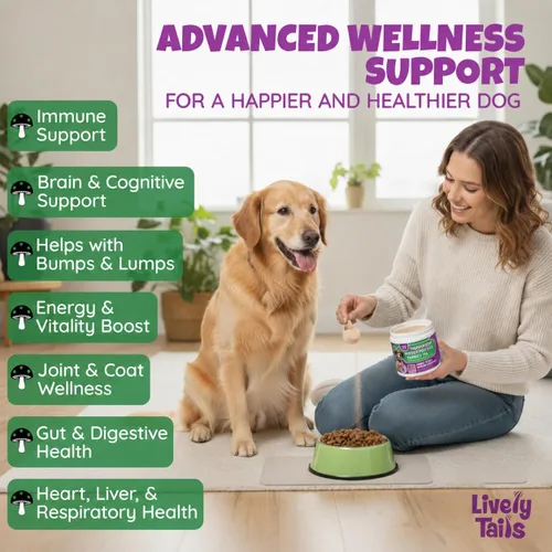 Vista 2 de Polvo de hongos totalmente natural para perros para inmunidad, cognición, longevidad, protuberancias y apoyo de bultos, hongo de cola de pavo