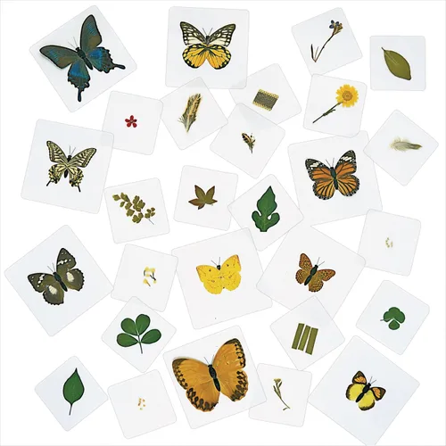 Vista 4 de Excellerations Juego de 28 especímenes laminados educativos para estudio de naturaleza STEM (artículo # estudio) For STEM Nature Study