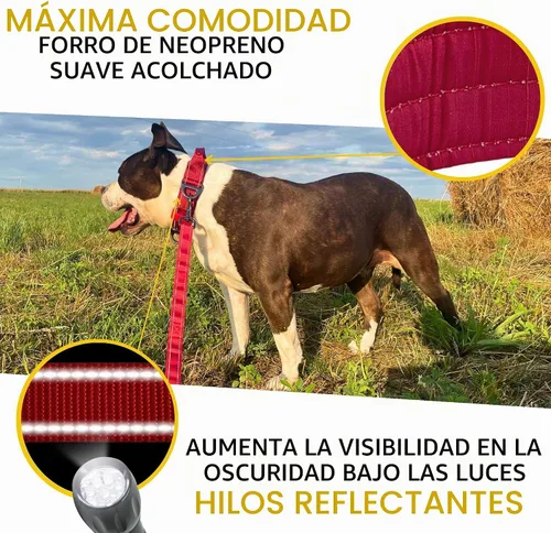 Vista 4 de ADITYNA - Collar de perro resistente para perros grandes con asa de tráfico Borgoña