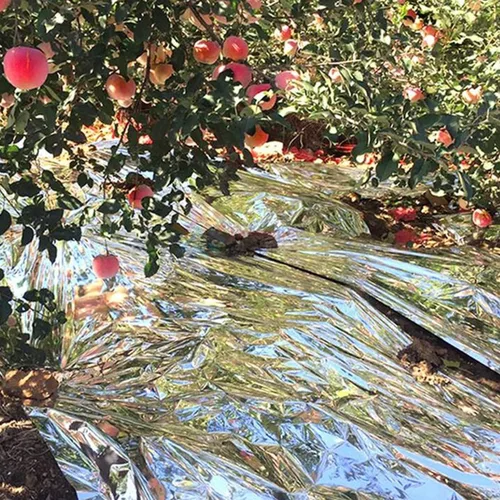 Vista 6 de HFS Rollo de película de Mylar altamente reflectante R de 2 mil PET recubierto de aluminio para horticultura, salas de cultivo de 4 pies x 50 pies