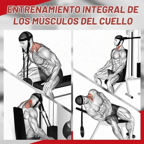 Vista 2 de Arnés de cuello para aumentar la fuerza del núcleo del cuello - Ejercitador de cuello con cadena de acero resistente de 30 pulgadas para levantar