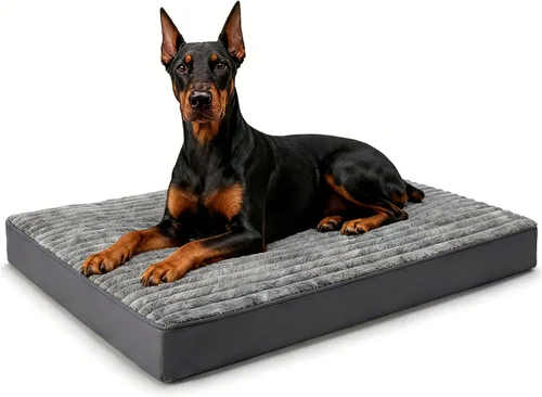 Vista 11 de Cama para perros pequeños, cama ortopédica de franela para mascotas con funda extraíble lavable, cama catre impermeable e indestructible