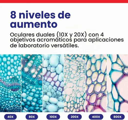 Vista 3 de OMAX Microscopio de laboratorio compuesto binocular LED 40X-2000X con platina mecánica de doble capa + portaobjetos en blanco, cubreobjetos y papel