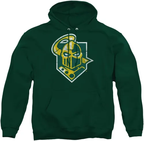 Vista 35 de Distressed College Primary Logo Adult Pullover Hoodie Collection 1 Universidad Estatal de Albany