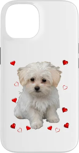 Vista 4 de Funda para iPhone 11 Maltipoo Mix Fans para amantes de los perros maltés