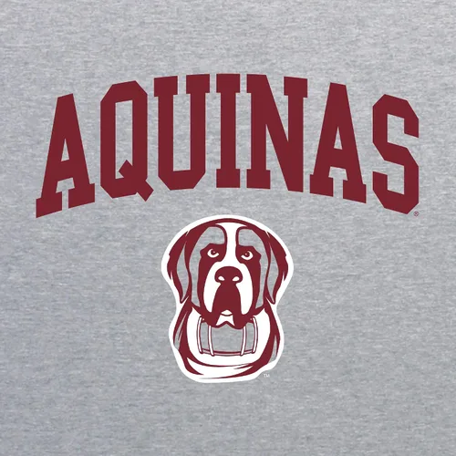 Vista 456 de NCAA Arch Logo, camiseta juvenil color del equipo, universidad - universidad
