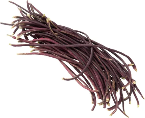 Vista 6 de Purple Yard - Semillas de frijol largo, más de 85 semillas, semillas de frijoles largos asiáticos, semillas de frijoles de espárragos, Phaseolus
