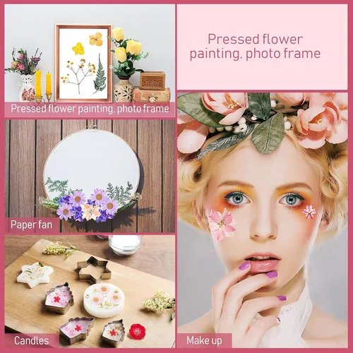 Vista 3 de Nuanchu 200 piezas de flores secas prensadas para resina, flores naturales prensadas reales, hojas a granel para manualidades, manualidades, arte