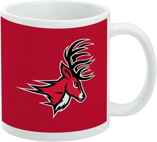 Vista 473 de Taza de cerámica con el logotipo principal de la Universidad Rider, taza de regalo novedosa para café, té y bebidas calientes, 11oz, blanca