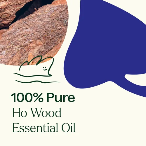Vista 5 de Plant Therapy Aceite esencial de madera Ho de 1.0 fl oz (1 oz) 100% puro, sin diluir, aromaterapia, aroma floral calmante para relajación y apoyo al