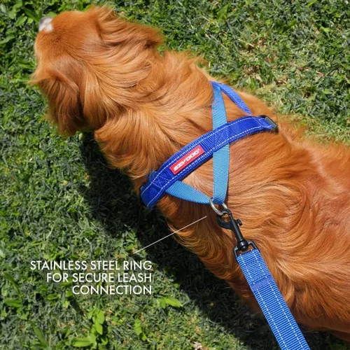 Vista 4 de Arnés ajustable para perro de EzyDog, XXS, Negro Fast One-Click Buckle, Adjustable Fit, Strong Reinforced Materials, Reflective Stitching, No Pull