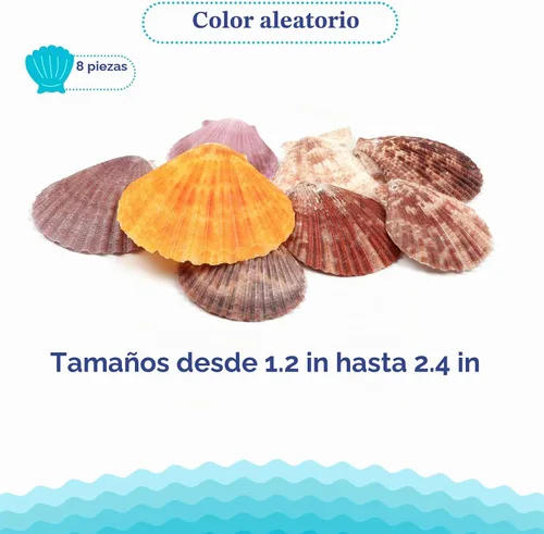 Vista 3 de ZERODECO Decoración náutica, red de pescado natural para fiesta pirata, boda, cumpleaños, tema de playa, decoración de sirena, red de algodón