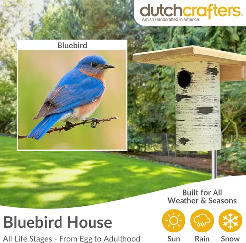 Vista 4 de DutchCrafters Gilbertson Bluebird House de madera de cedro con base extraíble, resistente a la intemperie, resistente a la intemperie, caja