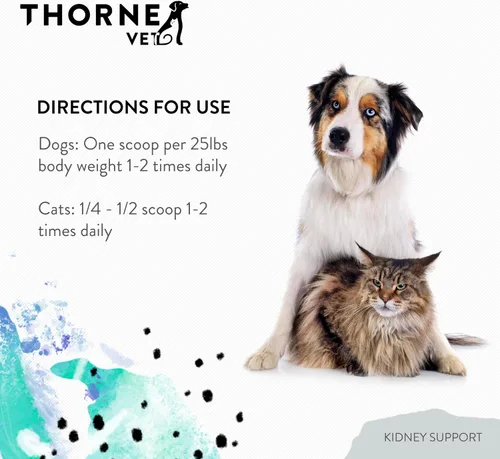Vista 5 de ThorneVet Apoyo renal para perros y gatos - Fórmula en polvo para la salud renal - con Rehmannia, astrágalo, hongos y quitosano - 90 cucharadas