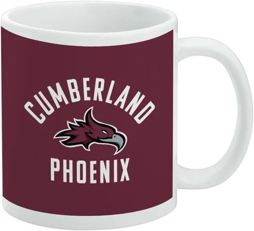 Vista 321 de Abilene Christian Wildcat Taza de café de cerámica, tazas de regalo novedosas para café, té y bebidas calientes, 11 onzas, color blanco