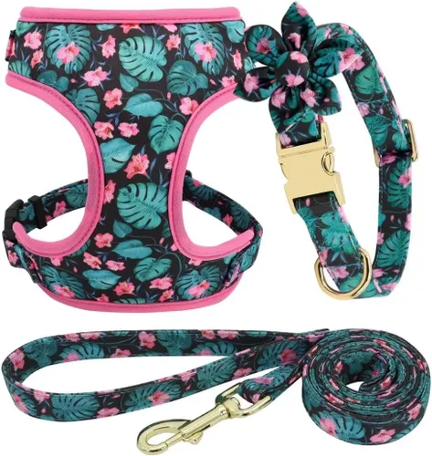 Vista 12 de Beirui Lindo juego de collares, arneses y correas para perro hembra, juego de collar y correa ajustable con flor - Arnés de malla suave para Azul