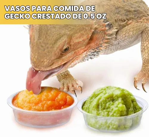 Vista 6 de Vasos de alimentación de agua y alimentos con cresta de Gecko de 0.5 onzas, cuencos de alimentación de reptiles, plato de comida de repuesto