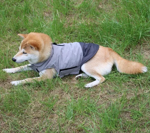Vista 8 de Vecomfy - Abrigo reversible para perros pequeños, impermeable, cálido, de algodón, para invierno, color rojo Reversible dog jacket with dual leash