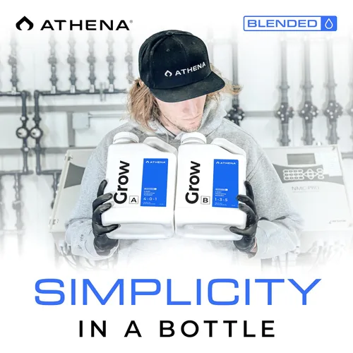 Vista 7 de Athena Blended Grow B Fertilizante líquido vegetativo para hidroponía y suelo Alimento vegetal para crecimiento en etapa vegetal NPK 1-3-5 1