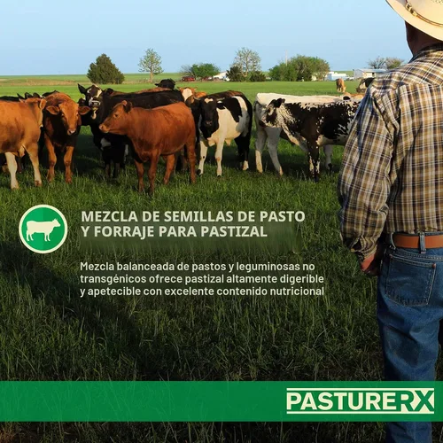Vista 3 de Barenbrug PastureRX Premium - Mezcla de semillas de césped y forraje, 23 libras (norte y transición)