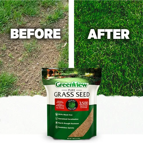 Vista 5 de GreenView Pure Grass Seed Sunny Mixture, bolsa de 3 libras. Cubre hasta 1,500 pies cuadrados.