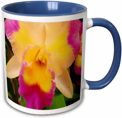 Vista 10 de 3dRose Florene Flores – Gorgeous Orquídea – Tazas, Negro/Blanco