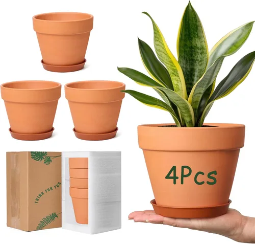 Vista 9 de T4U Mini macetas de terracota (36 piezas): macetas pequeñas de arcilla de 2 pulgadas con orificios de drenaje, ideales para plantas de cactus