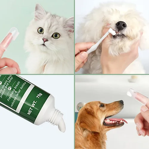 Vista 2 de Kit de cepillado de dientes para mascotas, cepillo de dientes para dedos de perro, cepillo de dientes de 360° y pasta de dientes con sabor a carne