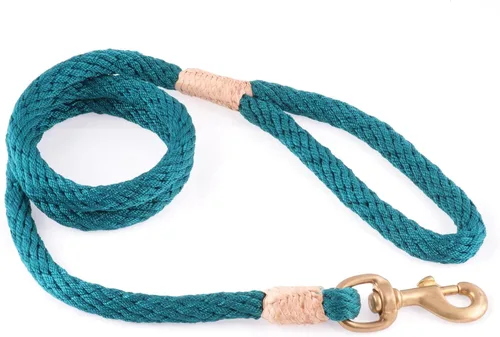 Vista 181 de Alvalley Correa para perros estilo broche – Correa de nailon estilo broche para perros – Fácil de manejar – Perfecto para perros pequeños, medianos