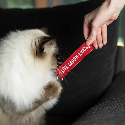 Vista 2 de Llavero de gato para llaves de coche, llaves de casa, amantes de mascotas y regalos