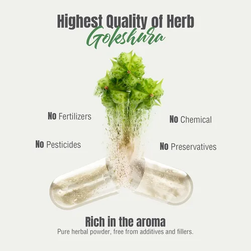 Vista 6 de Herbsforever Gokshura Cápsulas – Tribulus Terrestris – Saponina 30% – Apoyo urinario Resistencia y Energía Masculina – 60 Cápsulas Vege – 750 mg