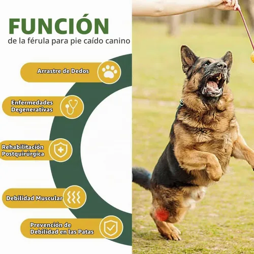 Vista 2 de Soporte de pierna trasera para perro