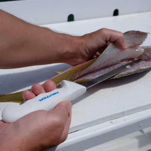 Vista 4 de Cuchillos de filete SOFGRIP Dexter Outdoors
