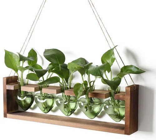 Vista 12 de Estaciones de propagación colgantes de terrario para plantas, regalo para mujeres, soporte para plantas de aire con soporte de madera, cristal