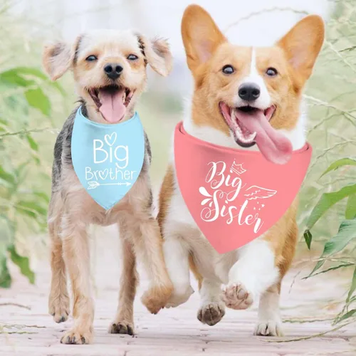 Vista 2 de Pañuelos para Perros Big Sister Big Brother, Bandana Ajustable de Doble Cara para Mascotas para Anuncio de Embarazo, Bufanda Triangular para Perros