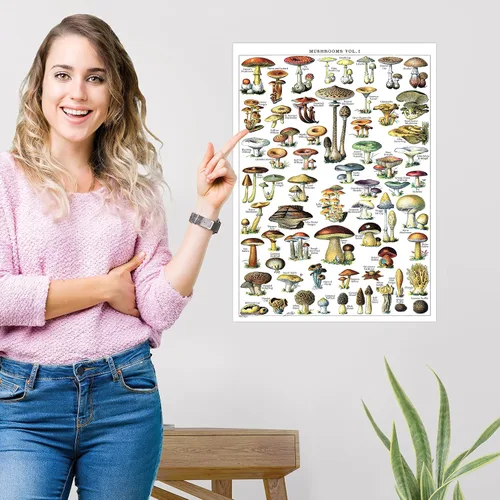 Vista 5 de Póster de hongos vintage impresos, tabla de referencia de identificación botánica de micología y hongos, volumen 1 y 2 (laminado, 18 x 24 pulgadas)