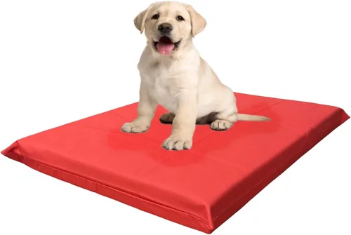 Vista 11 de Cama para perros de espuma viscoelástica con infusión de gel de alta densidad con funda externa duradera impermeable para todo tipo de clima