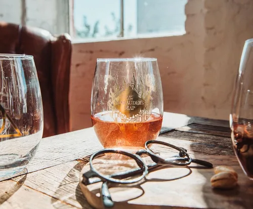 Vista 5 de Toynk Harry Potter Icons - Copas de vino sin tallo, juego de 4 vasos de 20 onzas para mimosas, cócteles