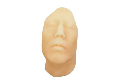 Vista 4 de Medarchitect Modelo de cabeza de maniquí de entrenamiento de inyección para enseñanza de microplástico, entrenamiento de práctica para estudiantes