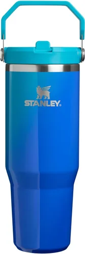 Vista 69 de STANLEY IceFlow 2.0 - Vaso con pajilla abatible con asa, 30 onzas, tapa giratoria y popote abatible, botella de agua a prueba de fugas, acero Tiza