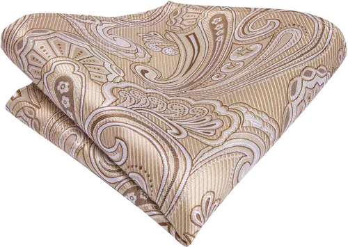 Vista 6 de Hi-Tie Conjunto de corbata de cachemira de seda y gemelos cuadrados de bolsillo