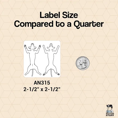 Vista 4 de Examen físico canino veterinario, Doctor Stuff Veterinarian Stickers, 2-1/2" x 2-1/2", Blanco, 240/Roll, Tabbies Vet V-AN315