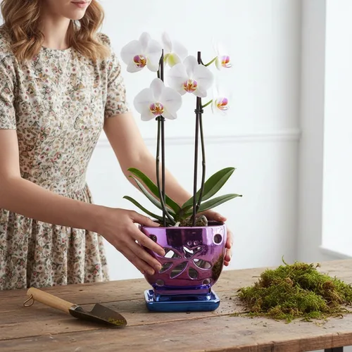 Vista 9 de Macetas de orquídeas con agujeros cuadrados de cerámica para orquídeas de Púrpura