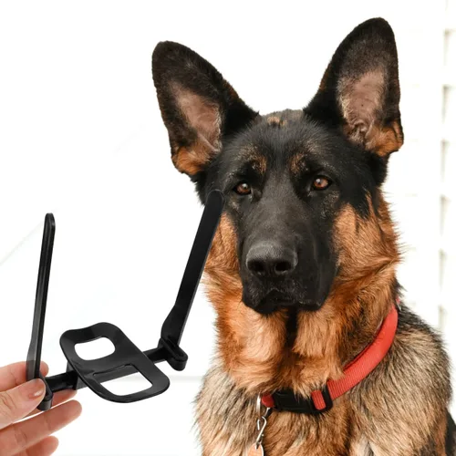 Vista 7 de Angoily Doberman - Kit de colocación de orejas con barras de corrección de cinta, soporte para orejas de perro y herramienta de pie para perros