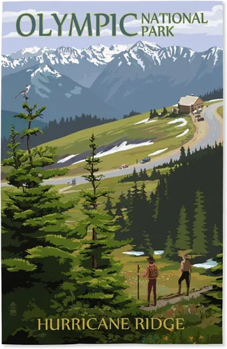 Vista 10 de Lantern Press Parque Nacional Olímpico, Washington, Grand Valley, alce, 8 x 12 pulgadas - Impresión artística para decoración de pared