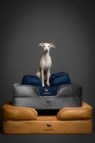 Vista 8 de NOAH & PAW Cama para perros pequeños, 20 x 15 x 8 pulgadas, cama para gatos de interior, espuma viscoelástica ortopédica de cáscara de huevo
